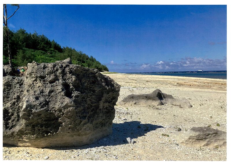 徳之島・喜念リゾート その他