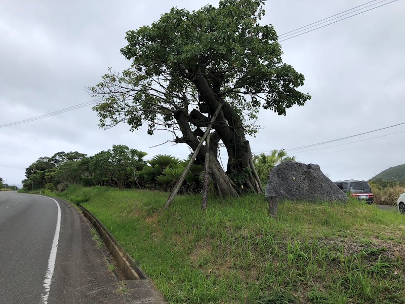 現地写真