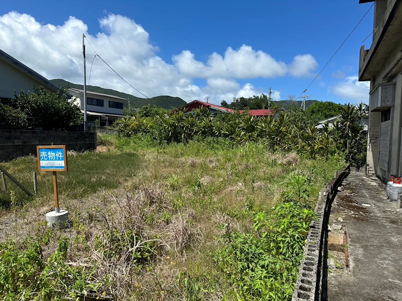 現地写真