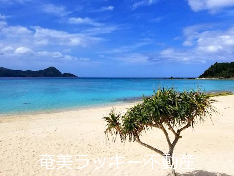 【その他】笠利　リゾート型宿泊施設≪太陽光発電設備付≫ その他