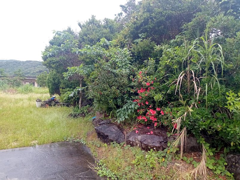 大島郡龍郷町戸口売地 現地写真