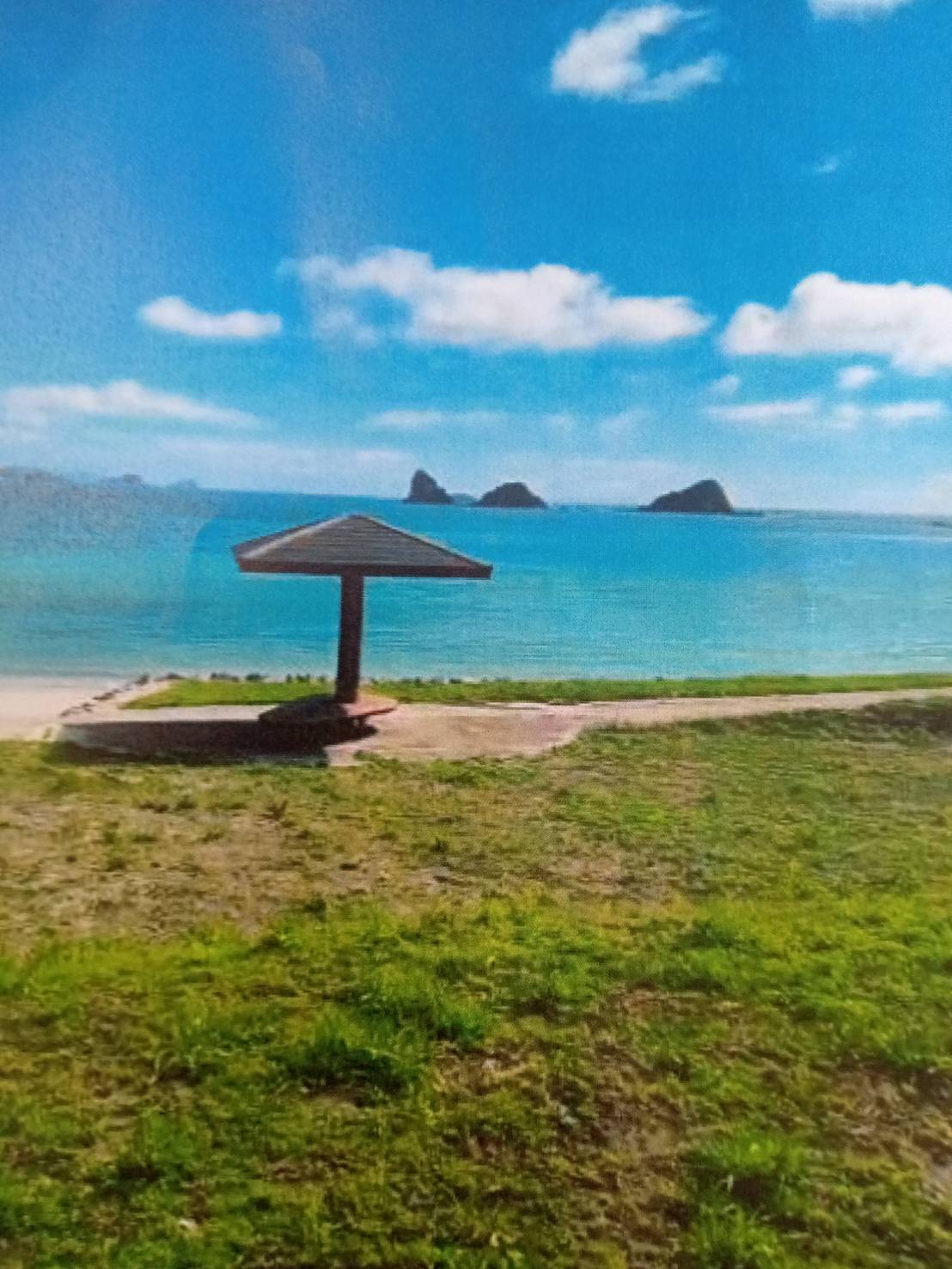 鹿児島県大島郡瀬戸内町西古見 138342