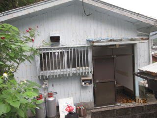 現地写真